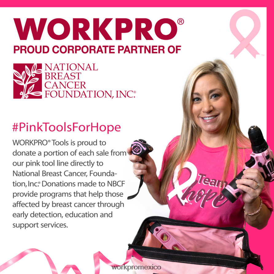 WORKPRO Bolsa de herramientas de 13 pulgadas, bolsas de almacenamiento de herramientas de tela suave rosa almacenamiento V82RH229