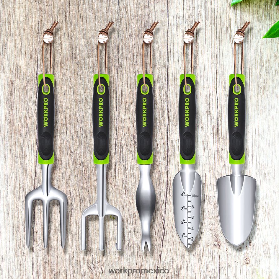 WORKPRO Juego de herramientas de jardín al aire libre de 5 piezas, regalos de trabajo de jardinería moderno herramienta V82RH2276