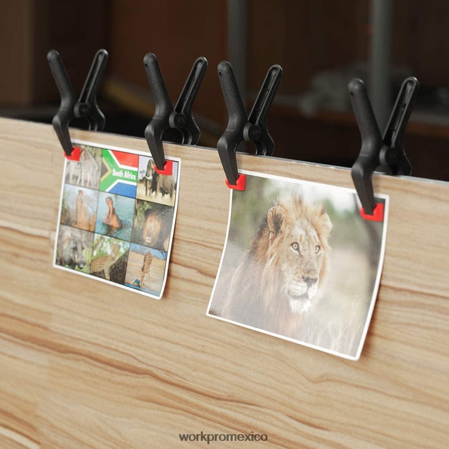 WORKPRO Juego de abrazaderas de resorte de nailon de 16 piezas para carpintería, estudios de fotografía y trabajos de bricolaje moderno herramienta V82RH2125
