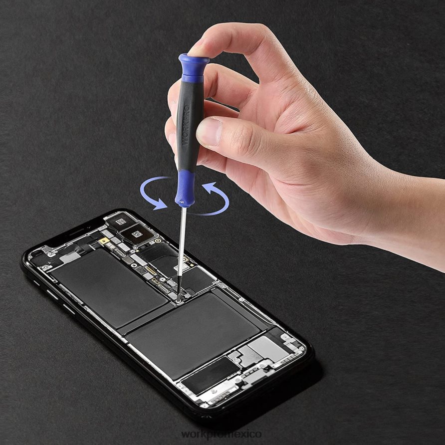 WORKPRO Juego de destornilladores de precisión de 10 piezas con funda. útil herramienta V82RH2100