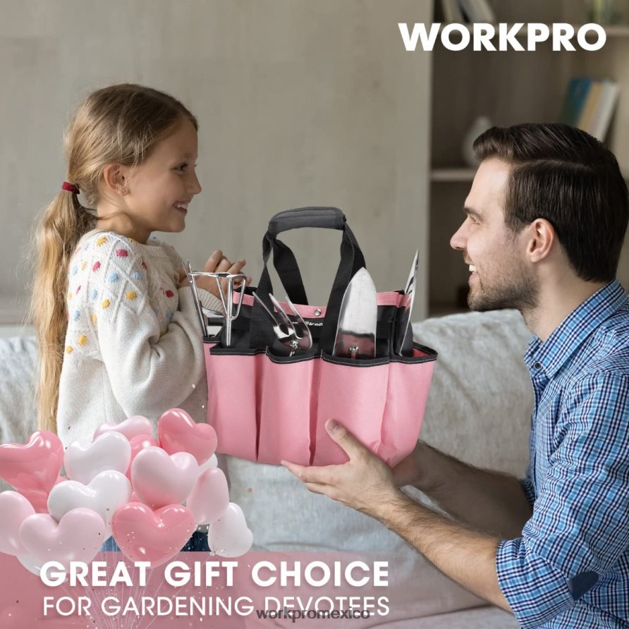 WORKPRO Juego de herramientas de jardín de 7 piezas, herramientas de jardinería resistentes de acero inoxidable rosa herramienta V82RH2252